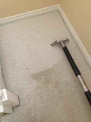 Silver Olas Carpet Tile Flood Cleaning