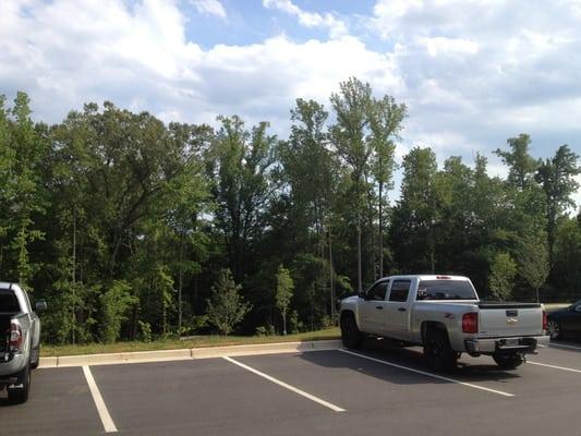 Big Creek Greenway- Marconi Drive Entrance