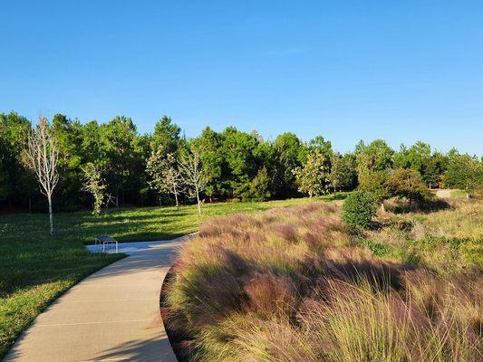 Tuscaloosa Alabama Tree Service