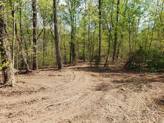 Another forestry mulching project.