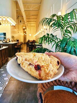 Cranberry scone