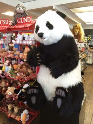 This is the largest panda bear I have ever seen