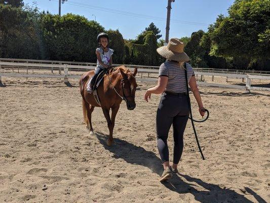 Equestrian In Training