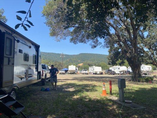 Mendocino County Fair & Apple Show