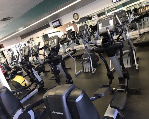 All newer Cardio machines by Life Fitness. Treadmills, ellipticals, steppers, bikes, recumbent bikes and spinner.