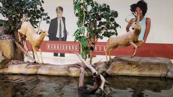 Wildlife display in the mall's concourse.