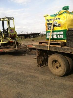 Big Yellow Bag's out for delivery