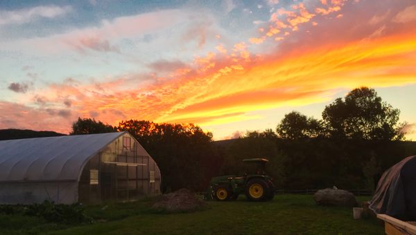 Red Shirt Farm sunset