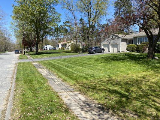 Professional lawn mowing!