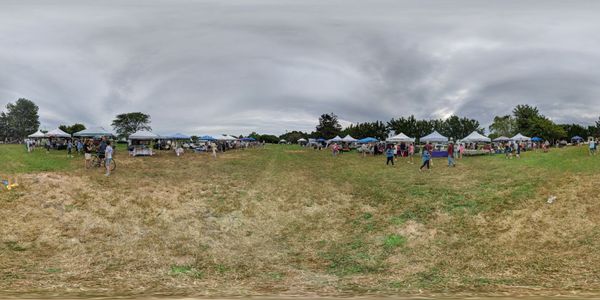 360 view of the market