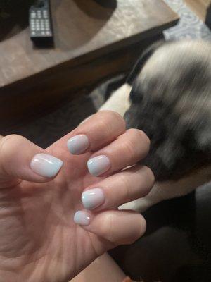 powder ombré featuring my pug