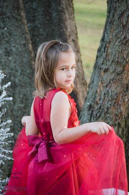 Amaryllis' Christmas Mini Session