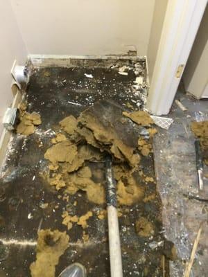 This is the water logged subfloor inside the laundry room where a washing machine leaked. It is literally crumbling...