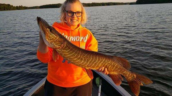 Chippewa Flowage Tiger Musky!