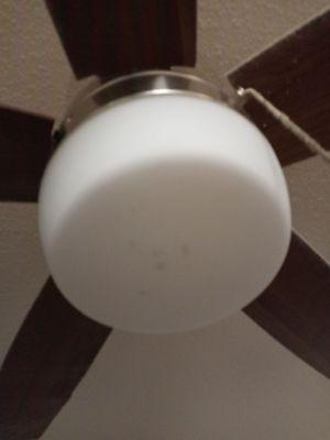 Roaches in the light fixtures