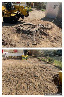 Stump removal