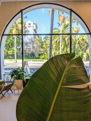 Soul Care Studio + Sauna is located in downtown Santa Barbara right across the street from the beautiful  Courthouse