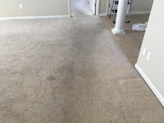 Before picture of customer's heavily soiled carpet.