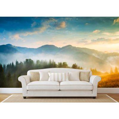 Wall Graphics - adhesive or wall paper, many choices