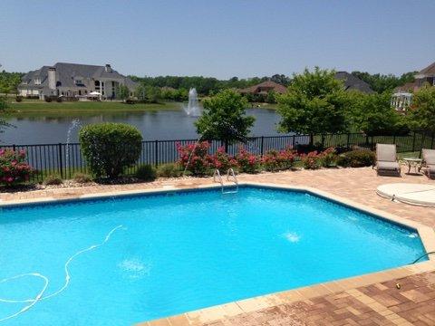 Another clean pool in Chesapeake VA