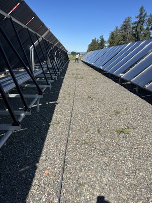 Solar Panels