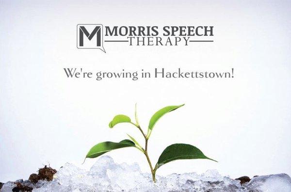 Morris Speech Therapy Associates