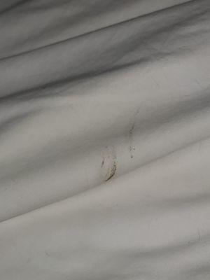 Dirty sheets that had been "cleaned"