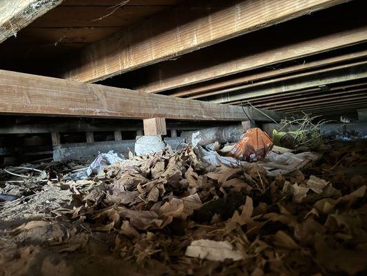 More of the foundation of the home. Debris clutter the area, inspector went in as far as he felt safe.