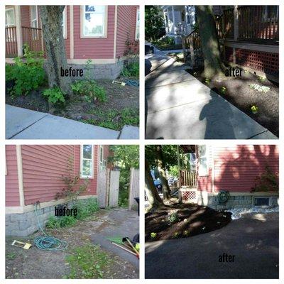 Before and after - Yard Clean Up and Mulching