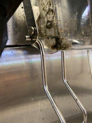 Black mold in ice machine at soda fountain.