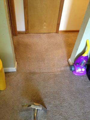 carpet cleaning strongsville