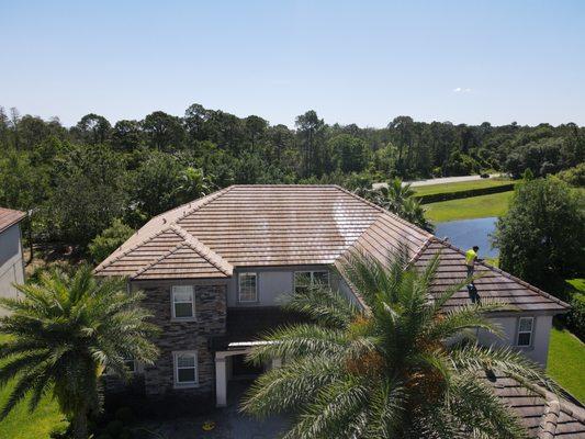 tile roof cleaning

removing mold and algie