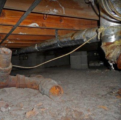 Crawlspace inspection