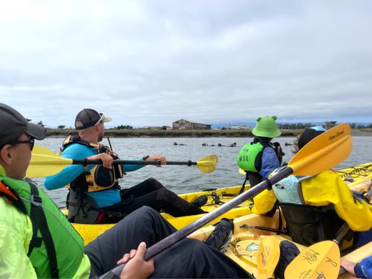 Monterey Bay Kayaks