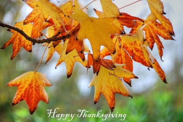 Happy Thanksgiving!  If you speak with anyone looking for help with either buying or selling a house or condo, whether they a...