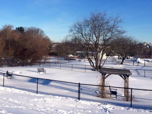 The dog park after the 2015 blizzard