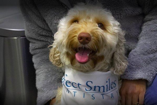 Perfect Smiles Mascot-Sunshine!