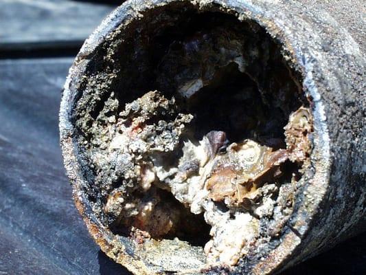 Grease-clogged pipe.