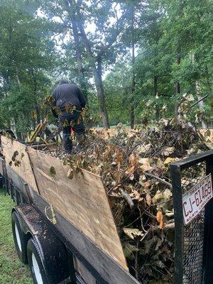 Leaf removal