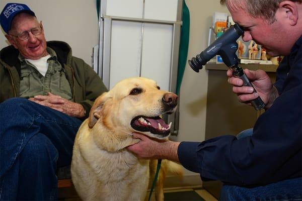 Dr Jason Wrage at Greenhaven Animal Clinic in San Jose, IL