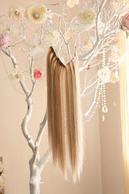 halo extensions