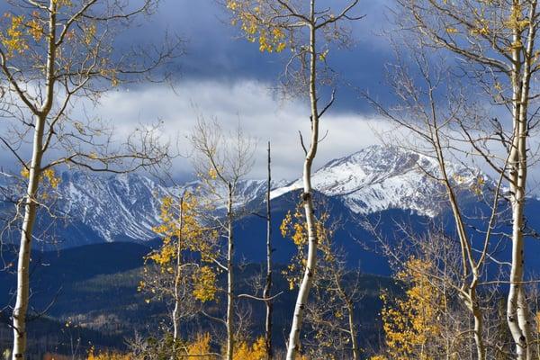 Fall in Colorado is our favorite time of year