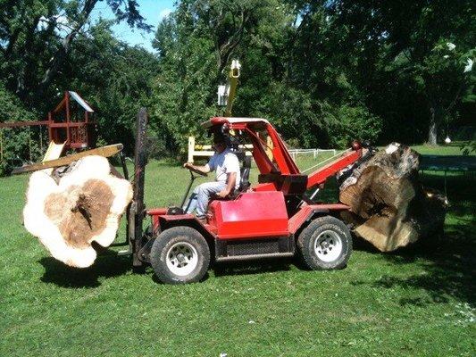 Tree Service