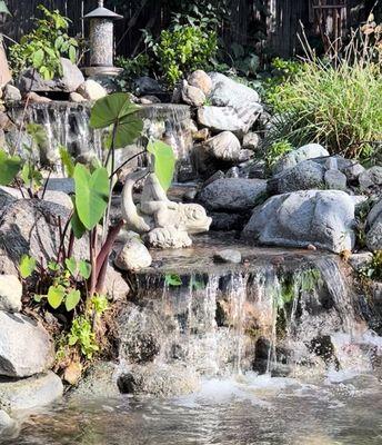 Pond and waterfall We installed 20 years ago. Just finished a full season clean out. The Pond Pros 626-206-7236