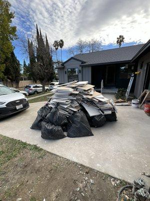 Pre cleanout driveway!