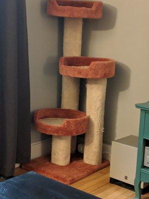 My cat tree looks as good as new after a visit from Deluxe Home and Office Cleaning!