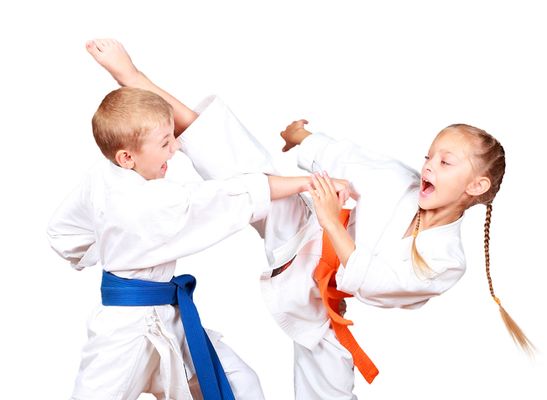 Cervizzi's Martial Arts Academy