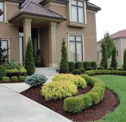 Bony Landscape Maintenance