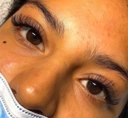 Classic eyelash extensions in the kitten shape