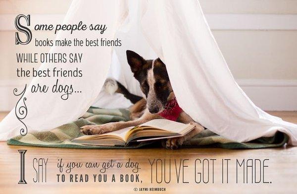 Come to BookPlaceSanDiego   and find great books for you and your "pet" to snuggle up with. #ReadingIsFun  Join us on  #PuppyMondays